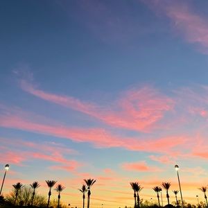 Meet your Posher, Mikayla